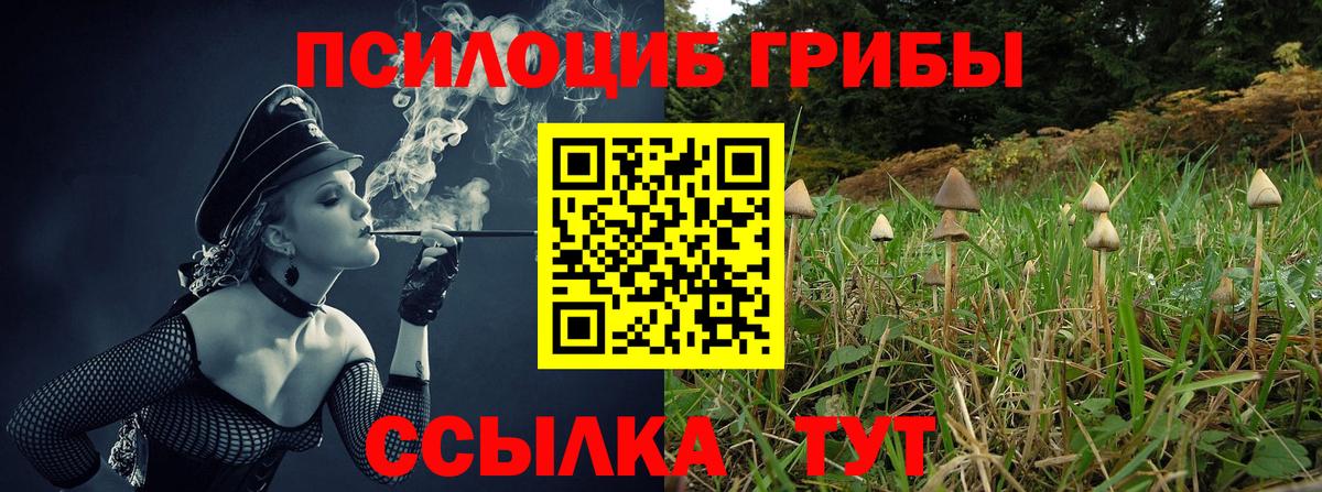 Псилоцибиновые грибы ЛСД Сокол