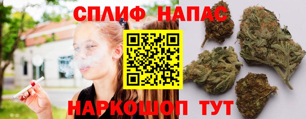 Бошки марихуана AK-47  Каннабис планчик  Сокол  МАРИХУАНА тримм  Вход с VPN 